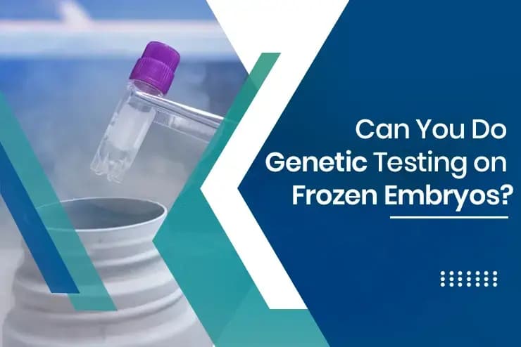 Genetic Testing on Frozen Embryos