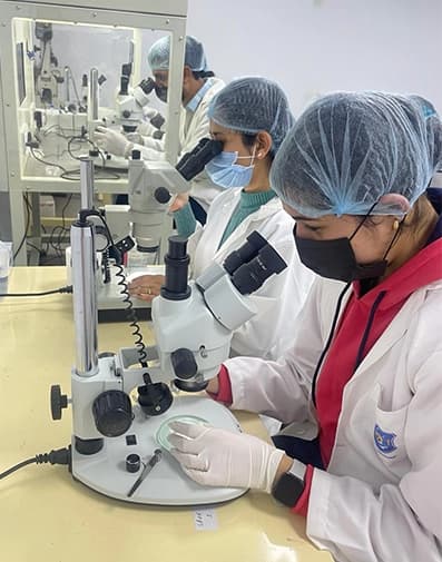 SEART students practising clinical embryology at laboratory microscopes