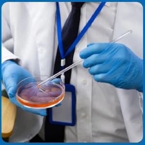  FAQs About SEARTs Embryology Training Course