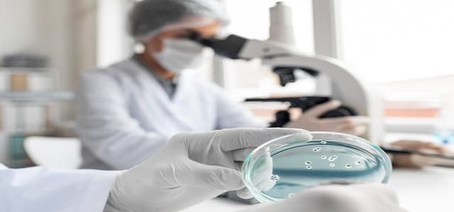embryologytraining-in