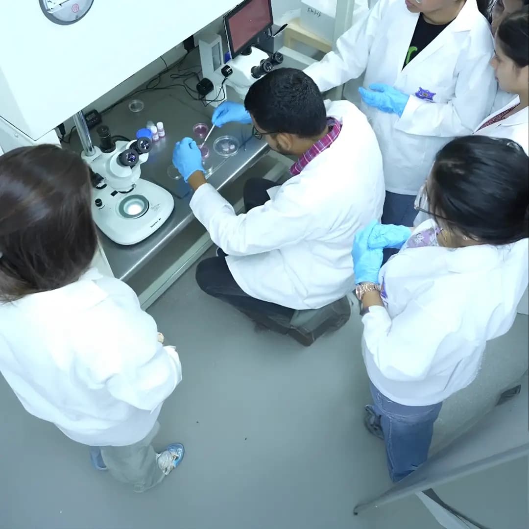 Certificate Course in ICSI (Hands-on Training)