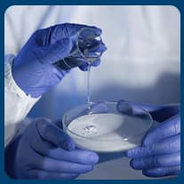 The Psychology of the Embryologist