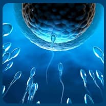 Top 10 IVF Centres in North India