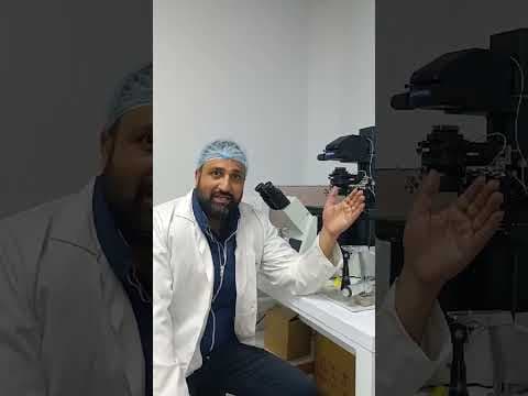 Embodying the spirit of Embryology