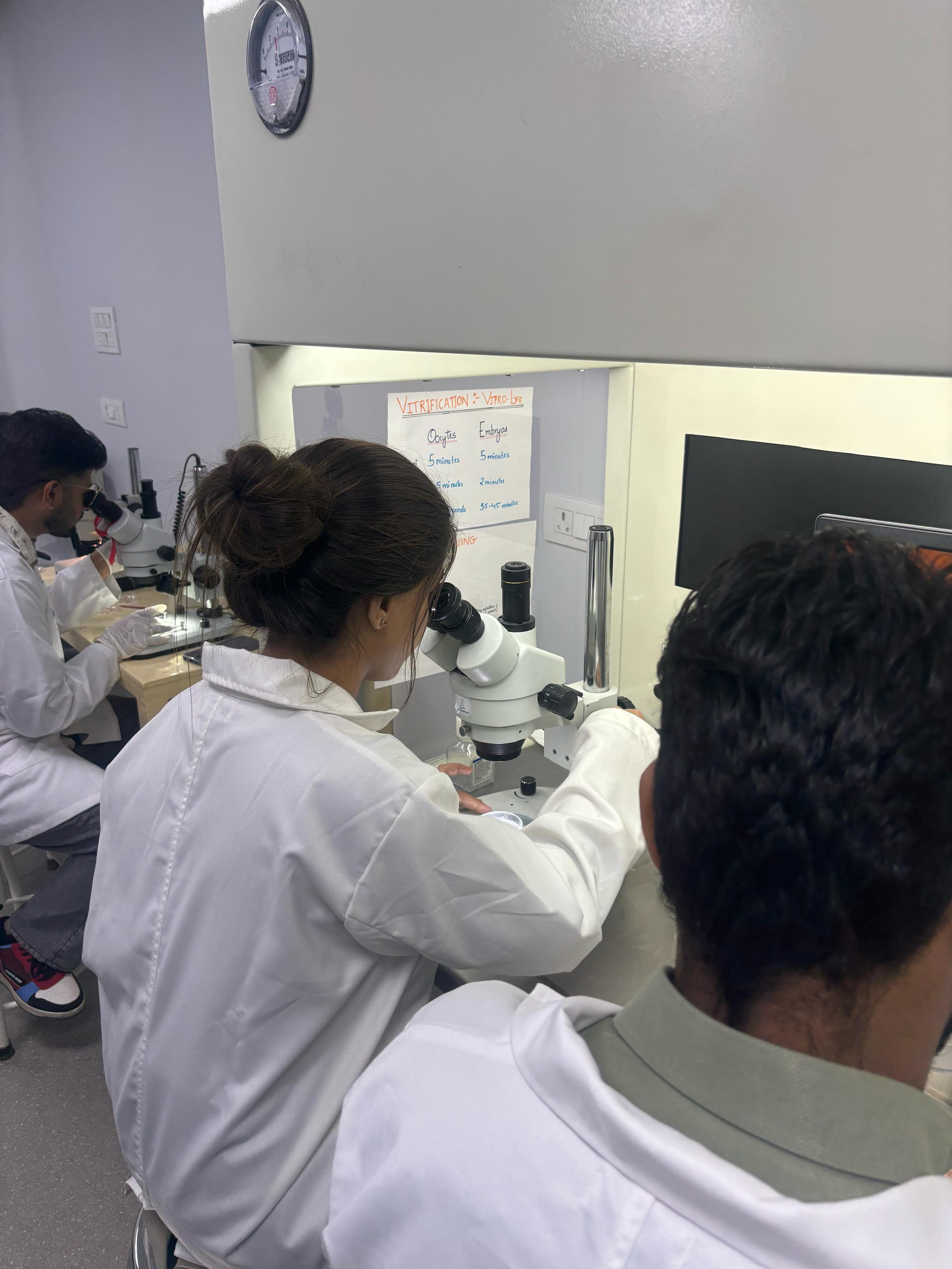 Students practising with microscopes in the SEART laboratory