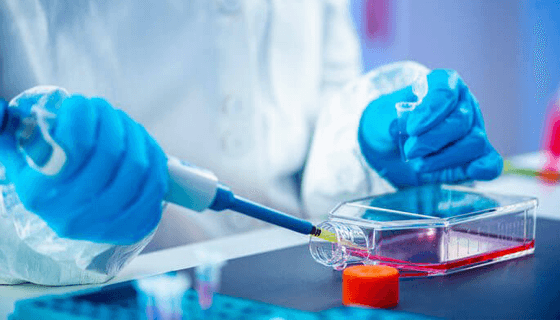 Comprehensive Guide to Embryology Education Costs