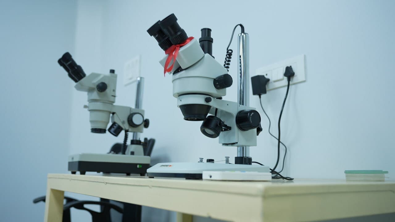 Microscopes arranged on a laboratory bench at SEART