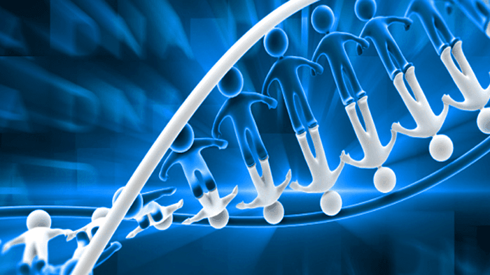 Navigating the Path to Excellence: MSc Clinical Embryology Courses in Navigating the Path to Excellence: MSc Clinical Embryology Courses in