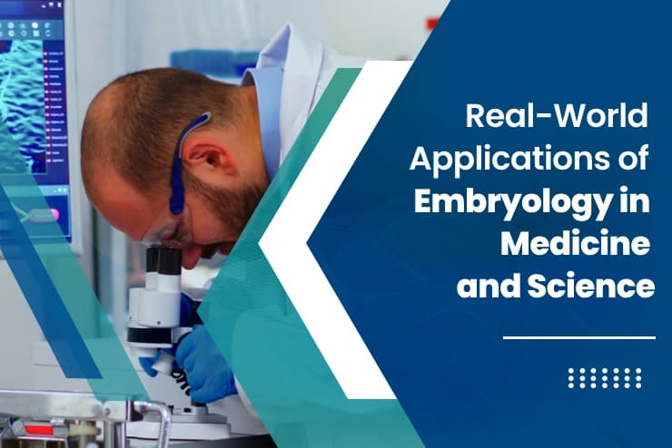 Real-World Applications of Embryology in Medicine and Science