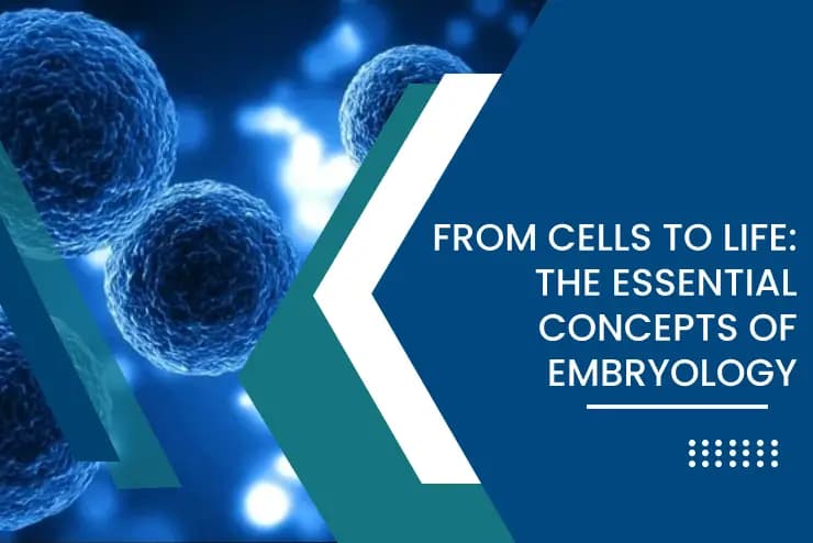 From Cells to Life: The Essential Concepts of Embryology