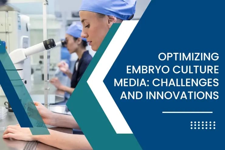 Optimizing Embryo Culture Media: Challenges and Innovations