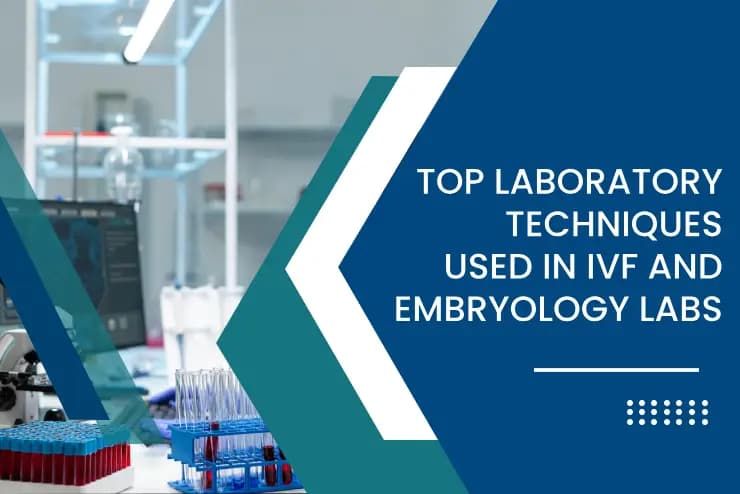 Top Laboratory Techniques Used in IVF and Embryology Labs